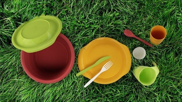 Одноразовую пластиковую посуду запретят к 2021 году